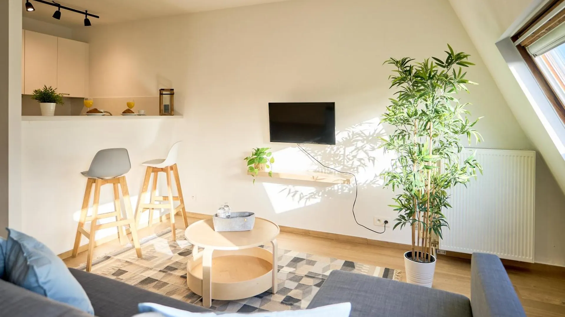 Anspach 1 Bedroom Apartments Brussels